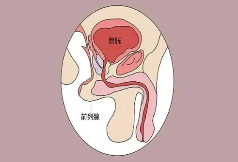 注意！纵欲和禁欲，最受伤的还是男人的这个器官！(图1)